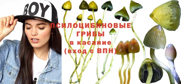 экстази Гусев