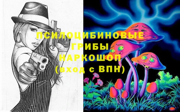 марки lsd Гусь-Хрустальный