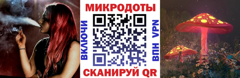 Купить закладки  Холмск  Галлюциногенные грибы Psilocybine cubensis 